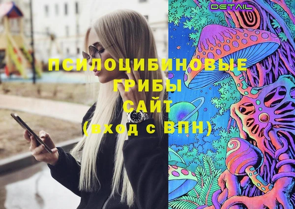 ГАЛЛЮЦИНОГЕННЫЕ ГРИБЫ Заволжье