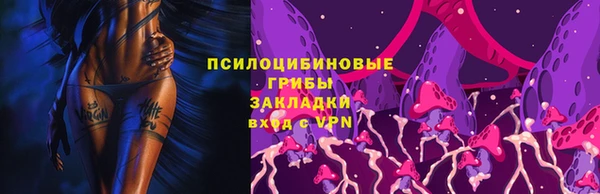 ГАЛЛЮЦИНОГЕННЫЕ ГРИБЫ Заволжье