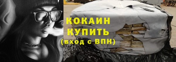 стафф Заводоуковск