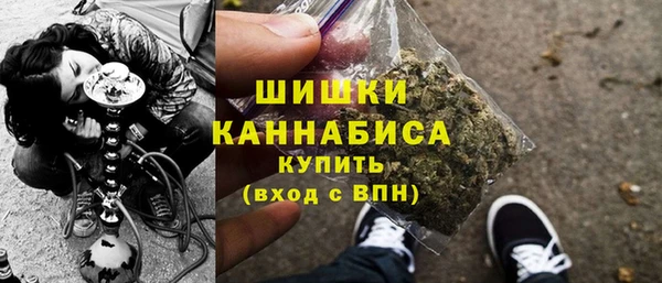 ГАЛЛЮЦИНОГЕННЫЕ ГРИБЫ Заволжье