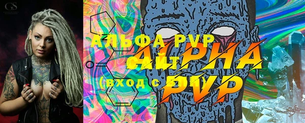 стафф Заводоуковск