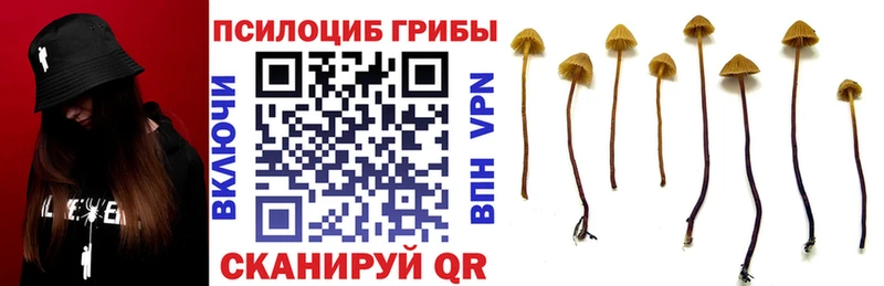Псилоцибиновые грибы MAGIC MUSHROOMS  Купить закладки  Ермолино 